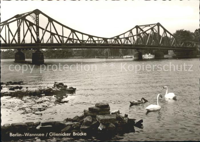 Wannsee Glienicker Bruecke Schwan