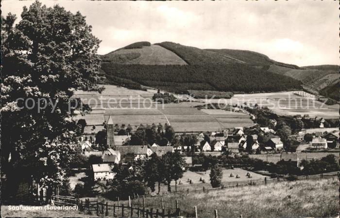 Saalhausen Sauerland Panorama