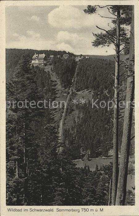 Wildbad Schwarzwald Sommerberg Schwarzwald