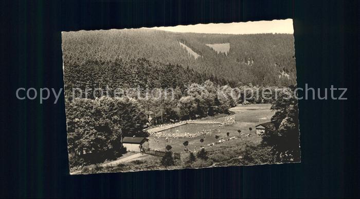 Meuselbach-Schwarzmuehle Schwimmbad