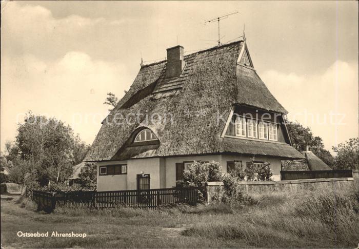 Ahrenshoop Ostseebad Reetdach Haus Ostseebad