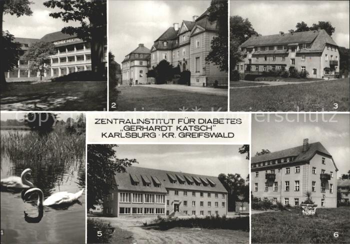 Karlsburg Greifswald Zentralinstitut Diabetes Barockschloss Schwaene Parkteich