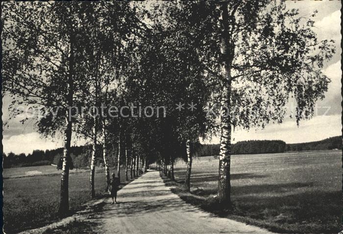 Bad Woerishofen Birkenallee