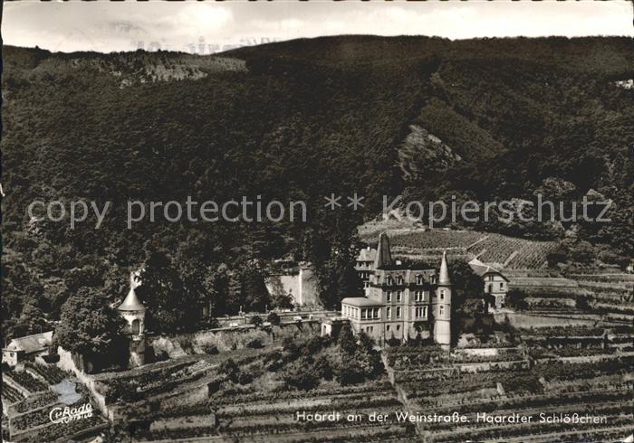 Haardt Weinstrasse Schloesschen Fliegeraufnahme