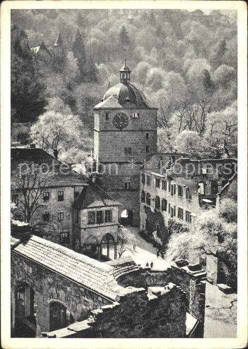 Heidelberg Neckar Schlosshof