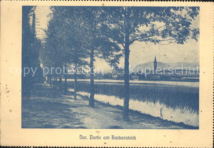 Dux Sudeten Barbarateich