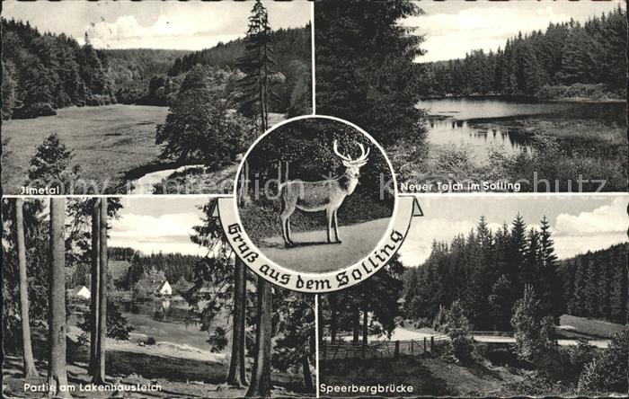 Dassel Solling Ilmetal Neuer Teich Hirsch Speerbergbruecke Lakenhausteich