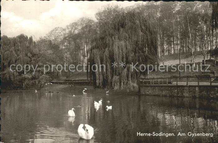Sodingen Schwanenteich am Gysenberg