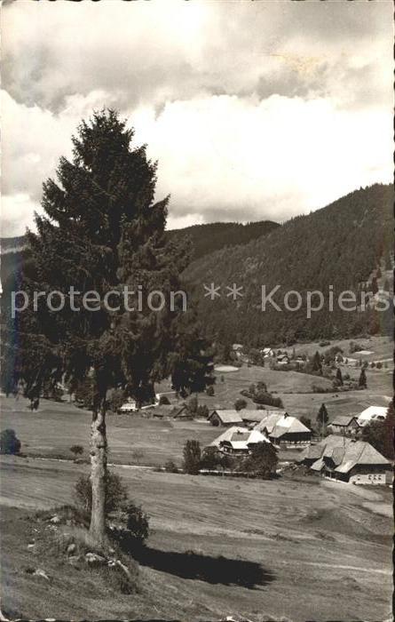 Menzenschwand Panorama Blick auf Feldberg Hoehenluftkurort Schwarzwald