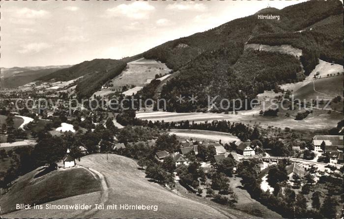Simonswald Panorama Simonswaelder Tal mit Hoernleberg Schwarzwald