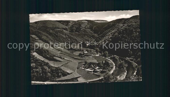Altenahr Panorama Langfigtal mit Jugendherberge