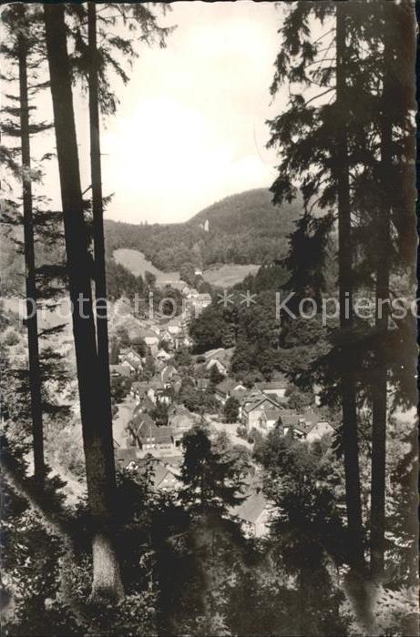 Bad Grund Durchblick vom Waldrand Moorheilbad Klimakurort