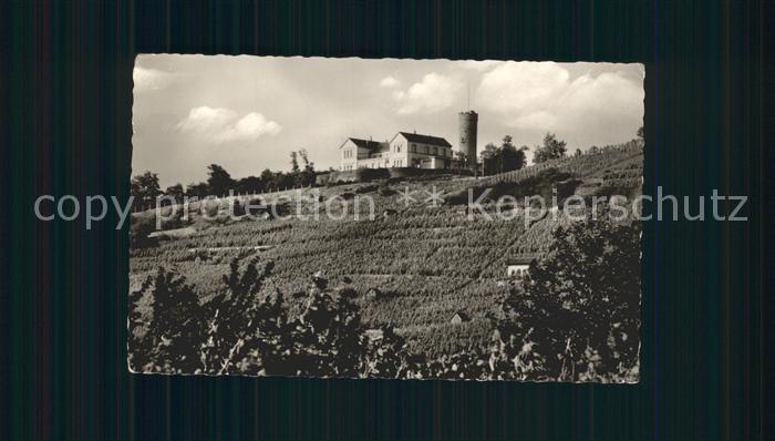 Heilbronn Neckar Wartberg