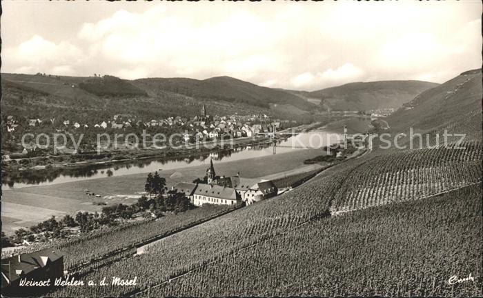 Wehlen Mosel Panorama Weinort Weinberge