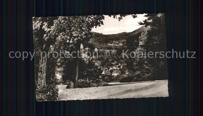 BADENWEILER BW Ansicht vom Waldrand aus