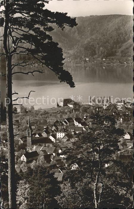 Ludwigshafen Bodensee Panorama