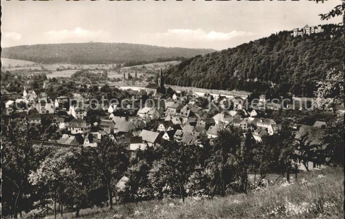 Neckargerach Gesamtansicht mit Minneburg