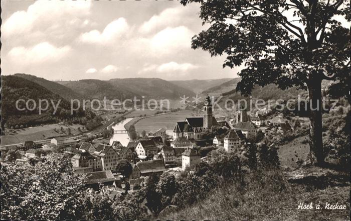 Horb Neckar Ortsansicht mit Kirche Panorama