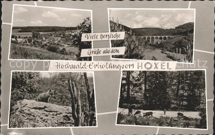 Hoxel Panorama Hochwald Viadukt Fuchs Rehe