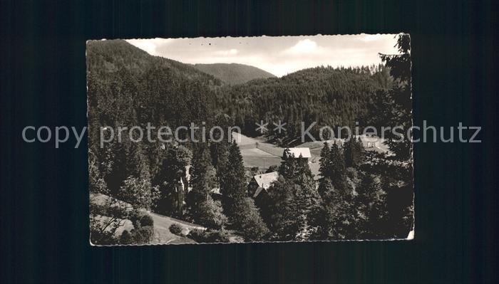 Allerheiligen Oppenau Panorama Schwarzwald
