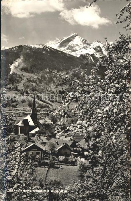 Partenkirchen Ortsansicht mit Kirche Albspitze Wettersteingebirge Baumbluete