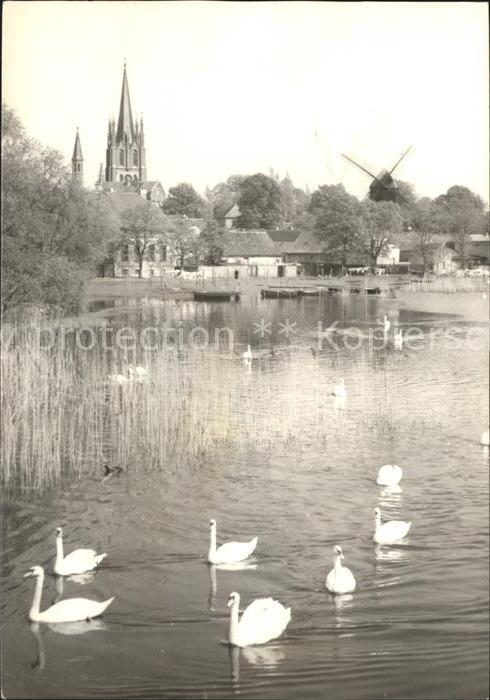 Werder Havel Inselansicht Kirche Windmuehle Schwaene