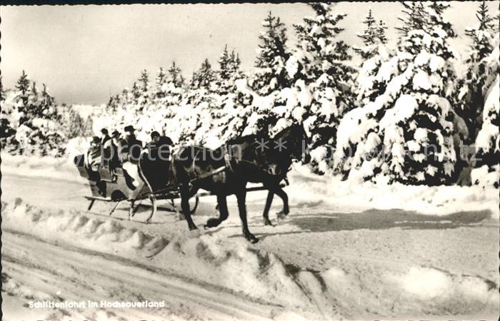 Fredeburg Schmallenberg Sauerland Pferde Schlittenfahrt im Hochsauerland Winterl