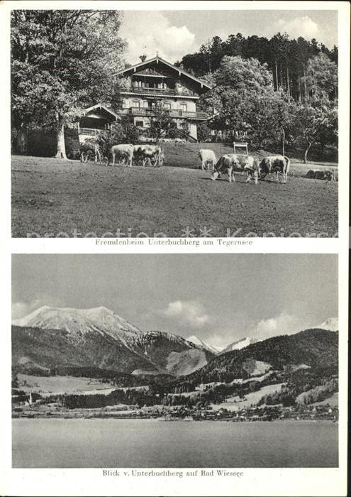 Tegernsee Bayern Fremdenheim Unterbuchberg