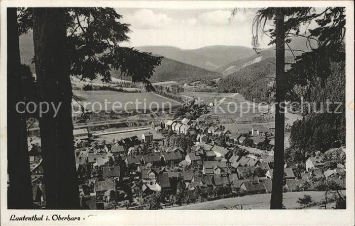 Lautenthal Harz Panorama Blick vom Schulberg ins Innerstetal
