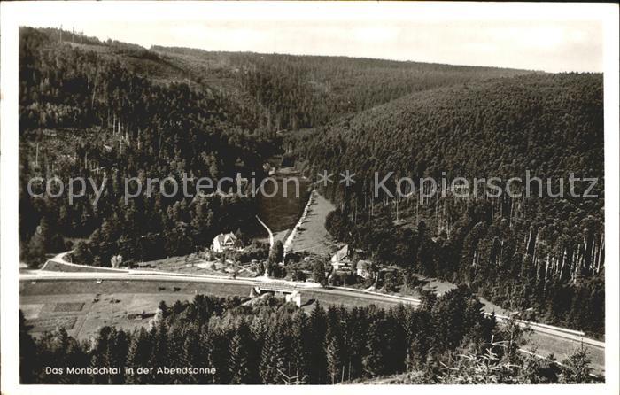 Liebenzell Bad Das Monbachtal in der Abendsonne