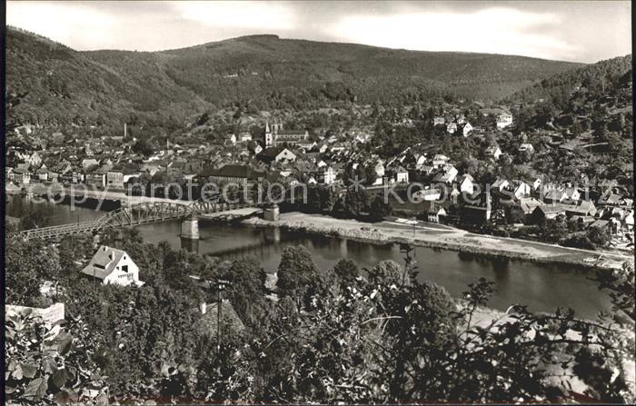 Eberbach Neckar Panorama Bruecke