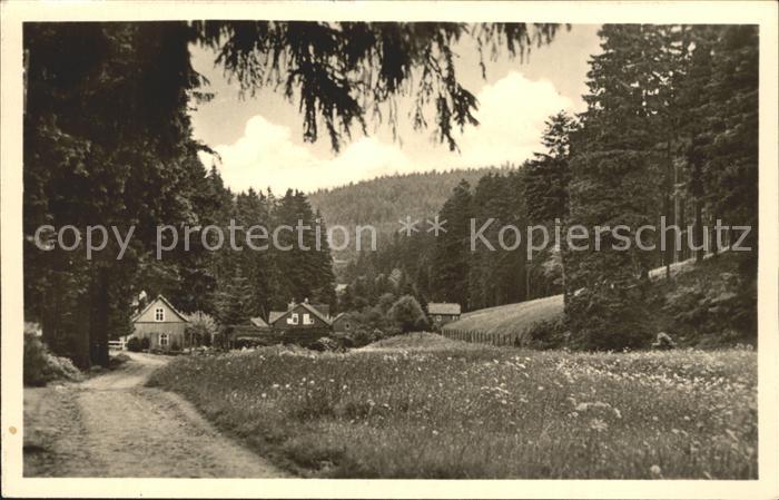 Friedrichsroda Partie am Kuehlen Grund Luftkurort