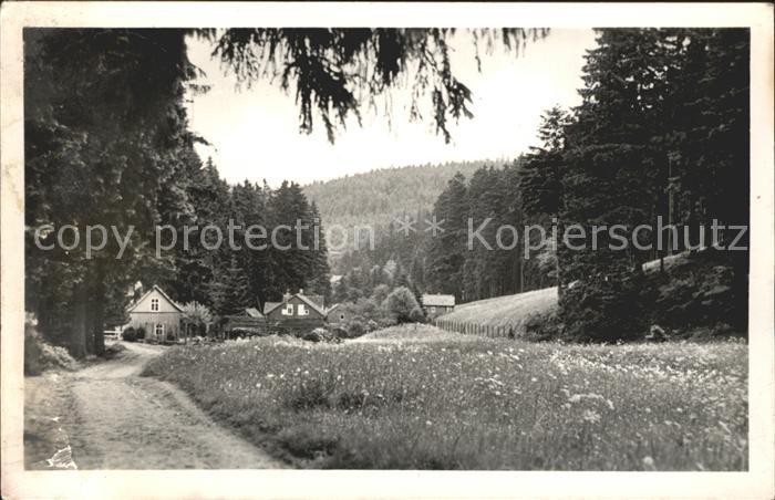Friedrichroda Partie am Kuehlen Grund Luftkurort
