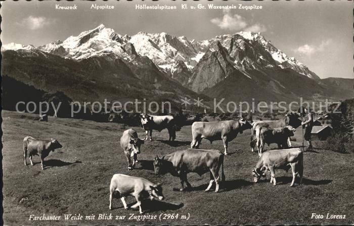 Farchant Farchanter Weide mit Blick zur Zugspitze Wettersteingebirge