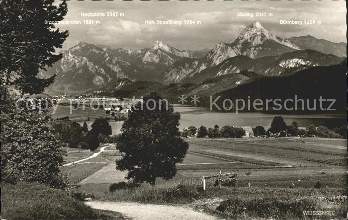 Weissensee Fuessen Panorama Allgaeuer Hochgebirge