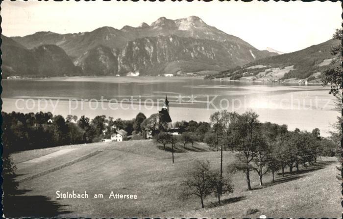Steinbach Attersee Panorama Alpen