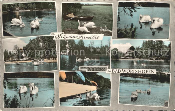 Bad Woerishofen Schwan Familie Waldsee Terrassen Cafe Strandbad Kneippheilbad