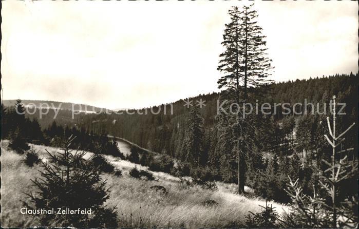Clausthal-Zellerfeld Goslar Niedersachsen Landschaft Oberharz