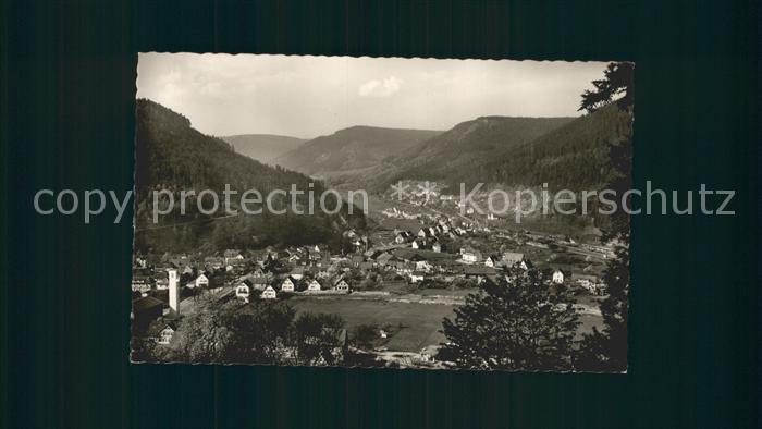 Calmbach Enz Panorama Luftkurort Schwarzwald