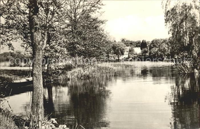 Lychen Partie am Nessepfuhl