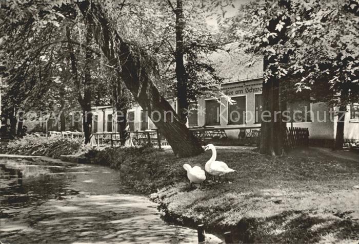 Mittweida HO Gaststaette Cafe am Schwanenteich
