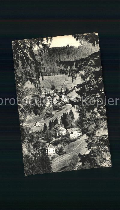 Wildemann Harz Goslar Niedersachsen Rhodesblick