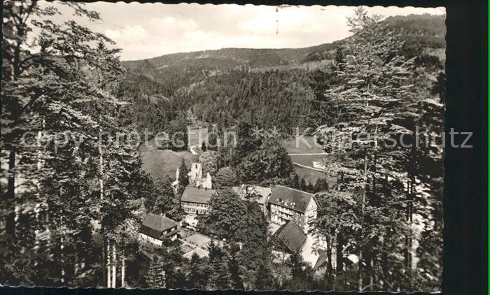 Allerheiligen Oppenau Teilansicht