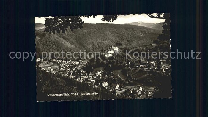 Schwarzburg Thueringer Wald Trippsteinblick