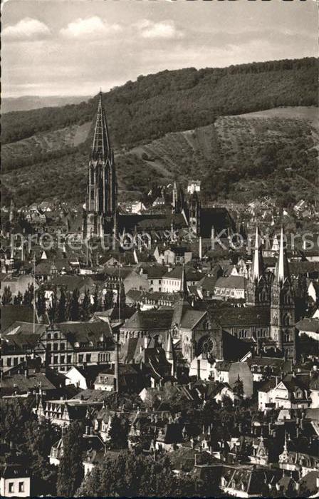 Freiburg Breisgau Blick vom Lorettoberg Altstadt Muenster