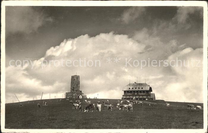 Feldberg Schwarzwald Stimmungsbild Feldbergturm Berggasthaus Kuehe