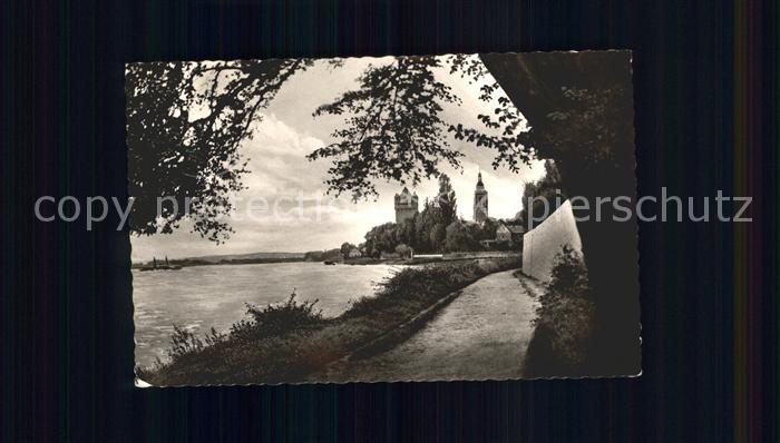 Eltville Rhein Partie am Rhein Uferweg