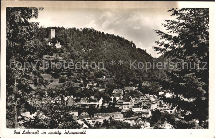 Bad Liebenzell Stadtbild mit Burg Schwarzwald