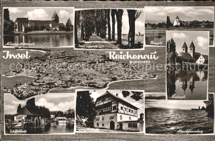 Insel Reichenau Muenster Mittelzell Baumallee Oberzell Niederzell Abendstimmung