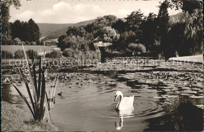 Bad Pyrmont Kurpark Schwanenteich